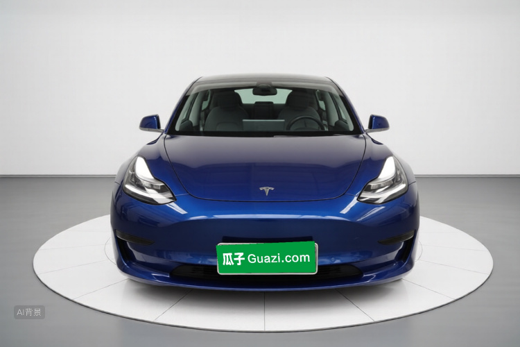 Tesla Model 3 2020 car image #3