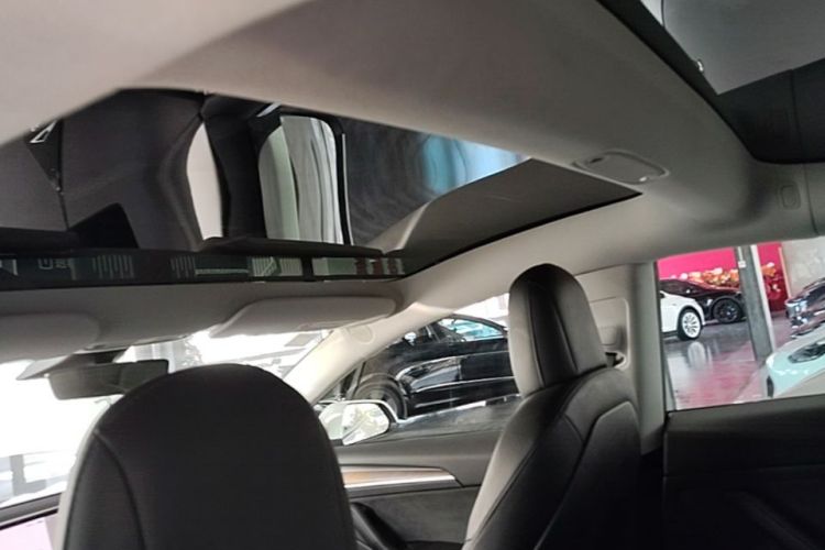 Tesla Model 3 2021 car image #18