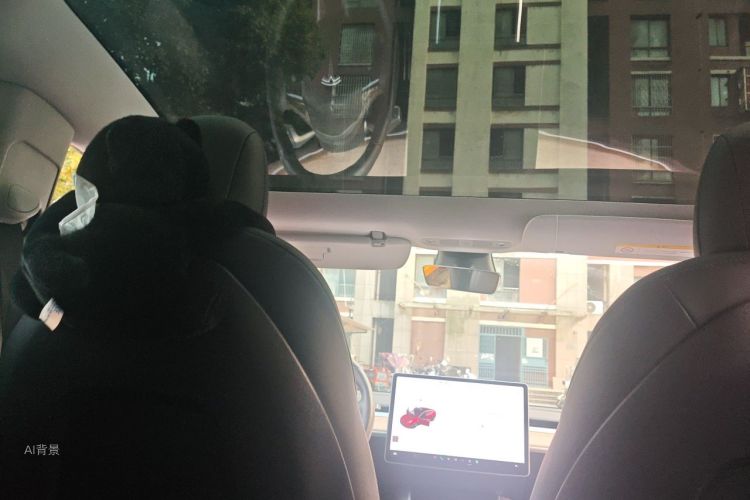 Tesla Model 3 2020 #20 Tesla Model 3 2020 صورة سيارة #20