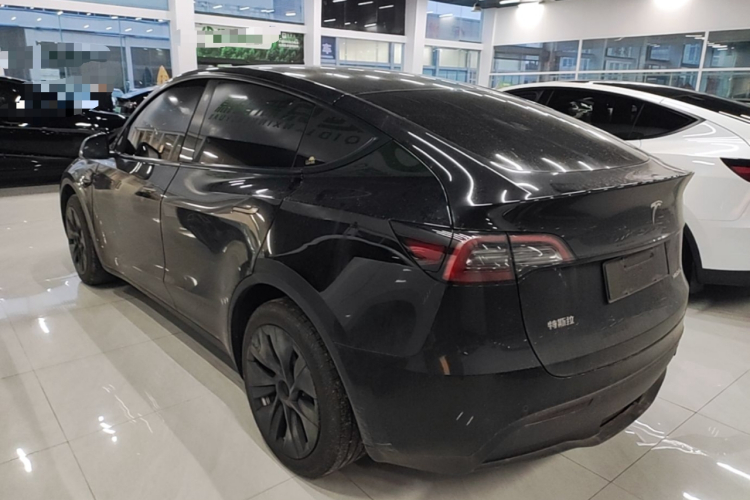 Tesla Model Y 2023 #7 Tesla Model Y 2023 car image #7