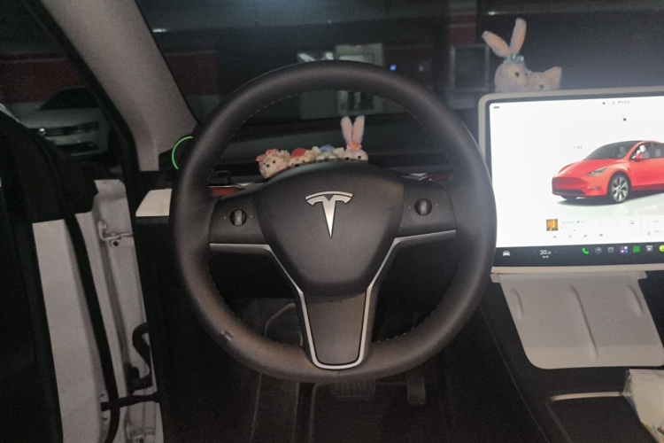 Tesla Model Y 2023 car image #15