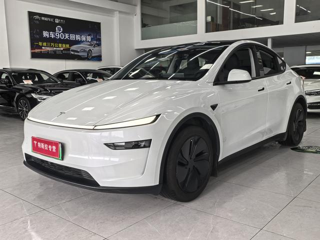 Tesla Model Y 2025 car image #21