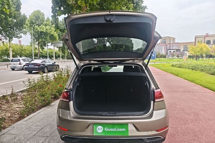 Volkswagen Golf 2019 #19 Volkswagen Golf 2019 car image #19