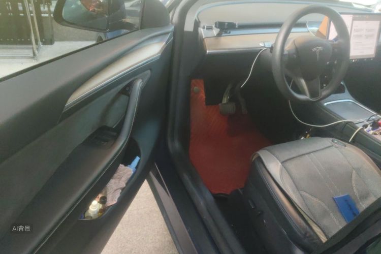 Tesla Model Y 2021 car image #18