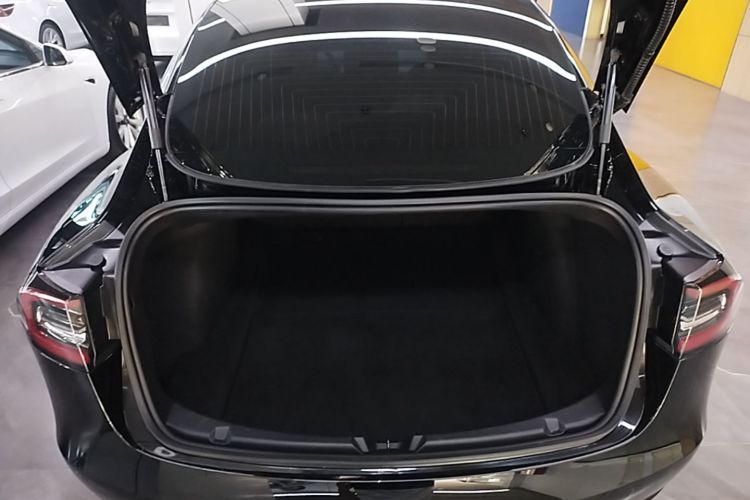 Tesla Model 3 2020 immagine di auto #19