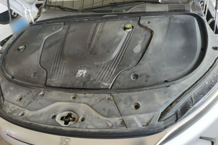 BYD Han 2021 car image #20