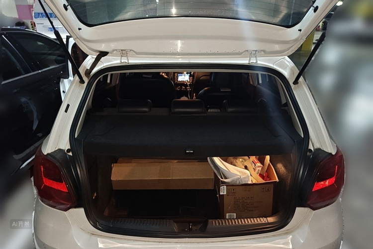 Volkswagen Polo 2015 car image #21