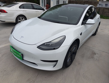 Tesla Model 3 2021 car image 