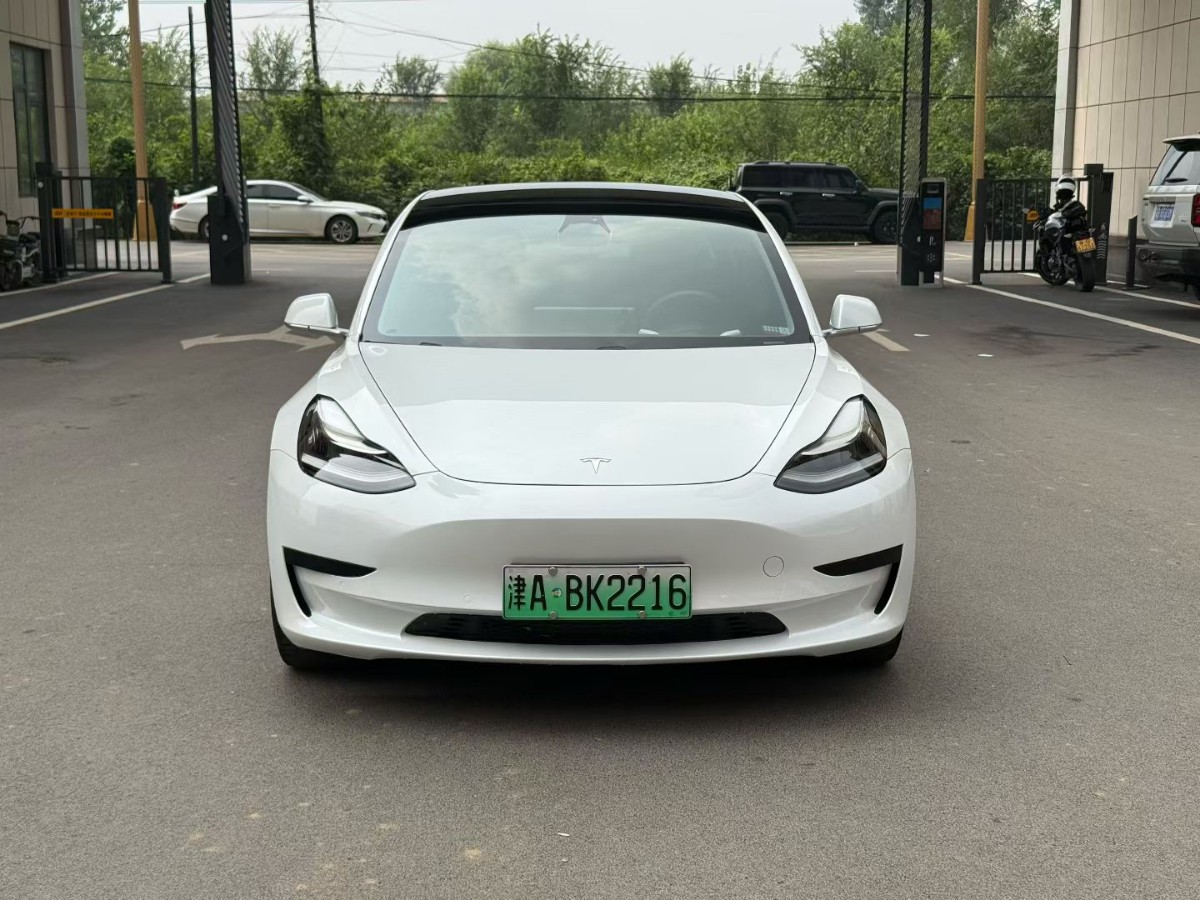 Tesla Model 3 (Imported) 2020 car image #2