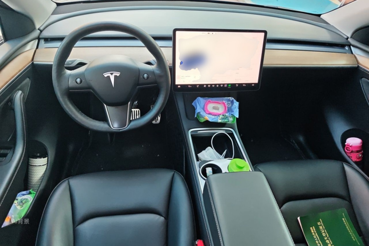 Tesla Model Y 2021 car image #11