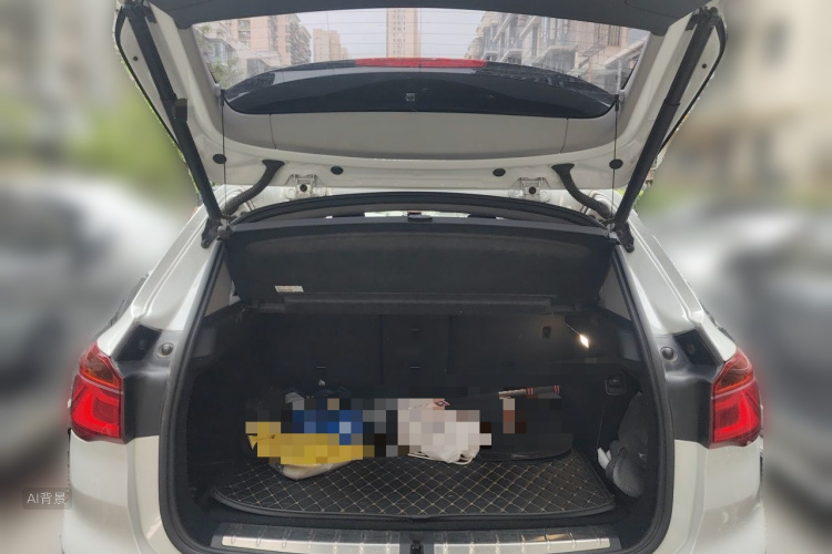 BMW X1 2017 car image #21