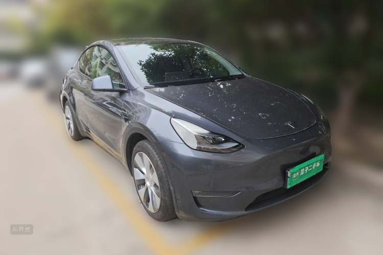 Tesla Model Y 2021 #4 Tesla Model Y 2021 صورة سيارة #4