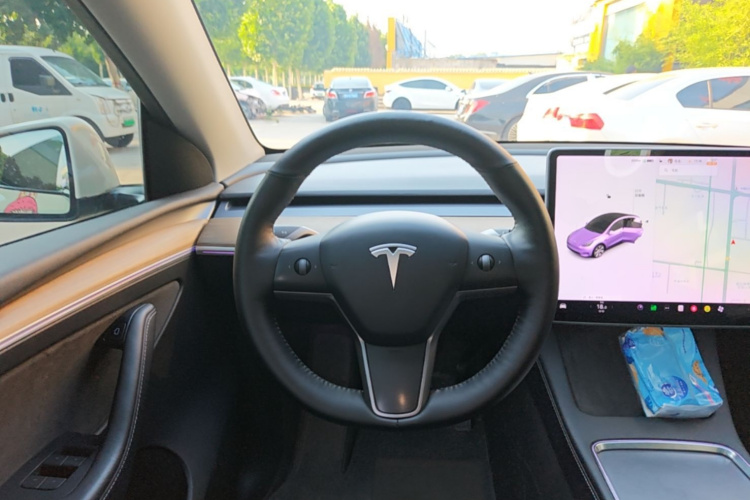 Tesla Model Y 2021 car image #11