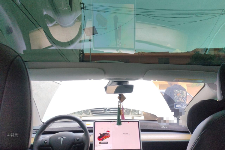 Tesla Model 3 2020 car image #20