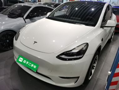 Tesla Model Y 2022 car image 