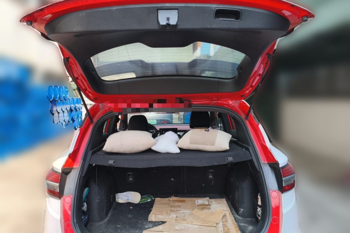 GEELY Coolray 2019 car image #8