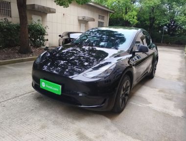 Tesla Model Y 2023 Tesla Model Y 2023 car image