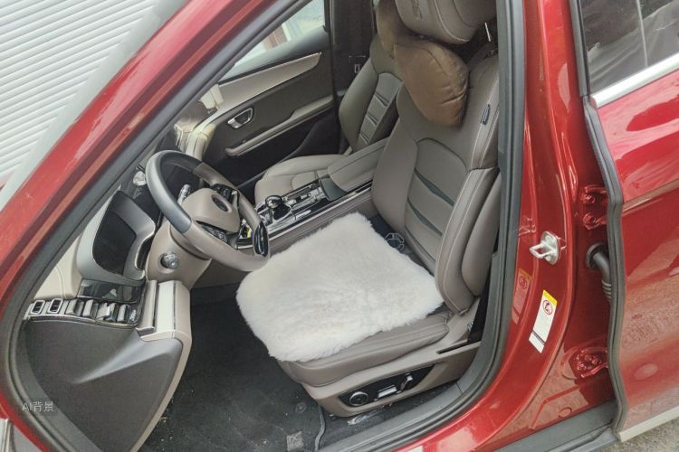 BYD Han 2020 car image #17