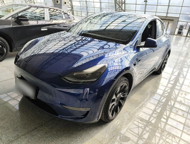 Tesla Model Y 2021 Tesla Model Y 2021 car image