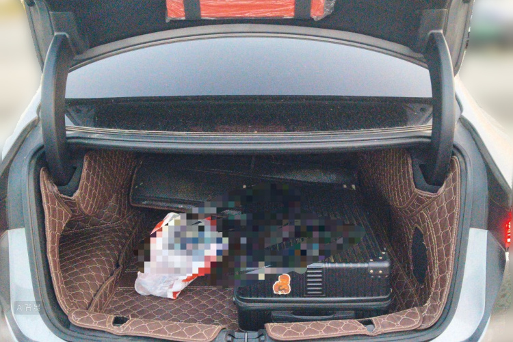 BYD Han 2022 car image #21