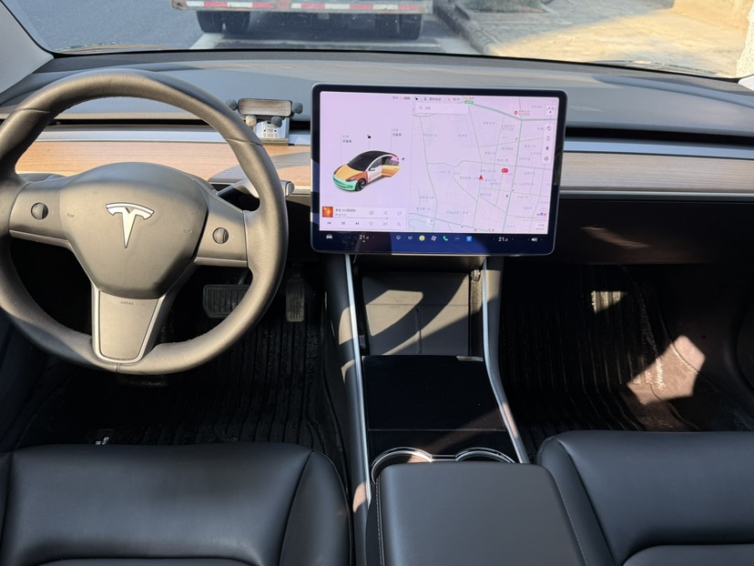 Tesla Model 3 2020 imagen de coche #6