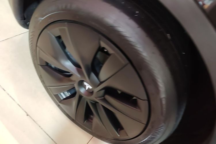 Tesla Model Y 2023 #8 Tesla Model Y 2023 car image #8