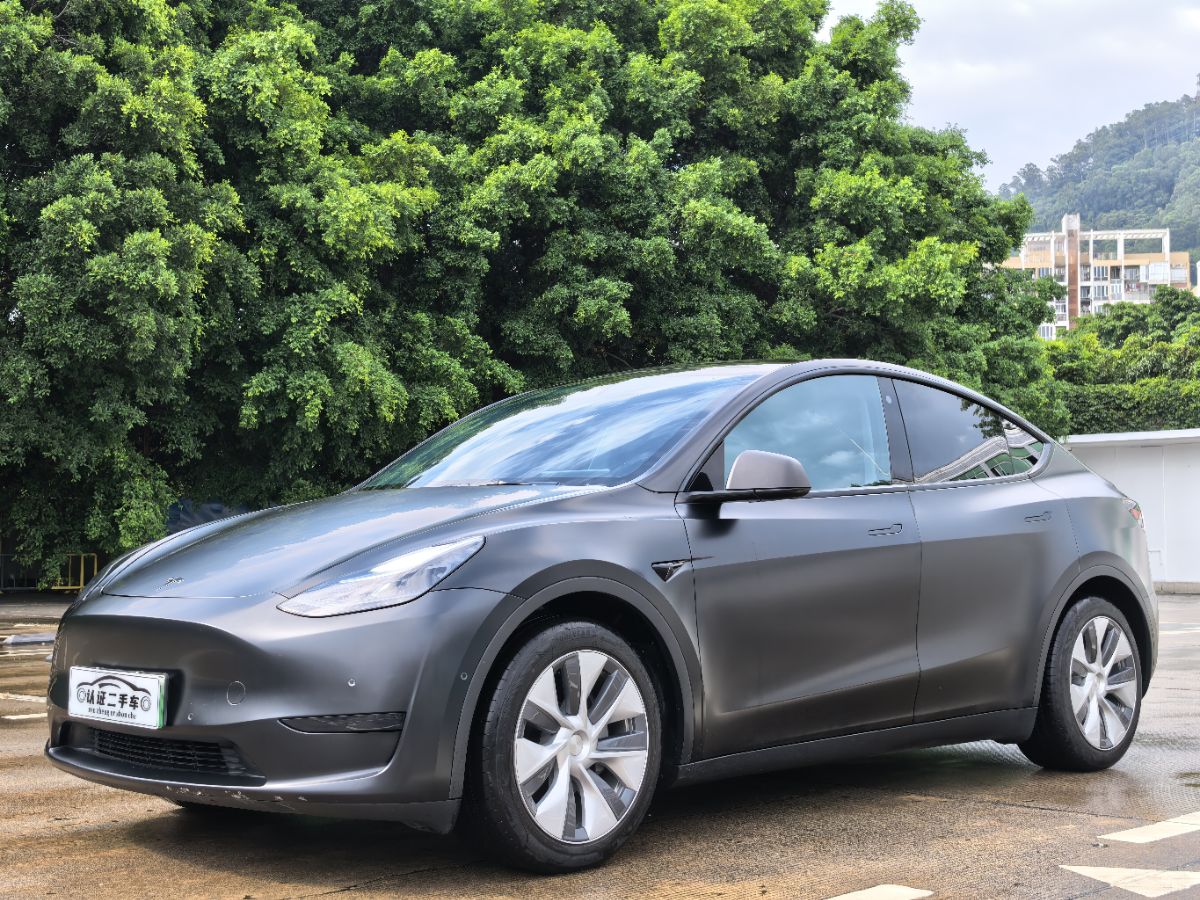 Tesla Model Y 2022 car image 