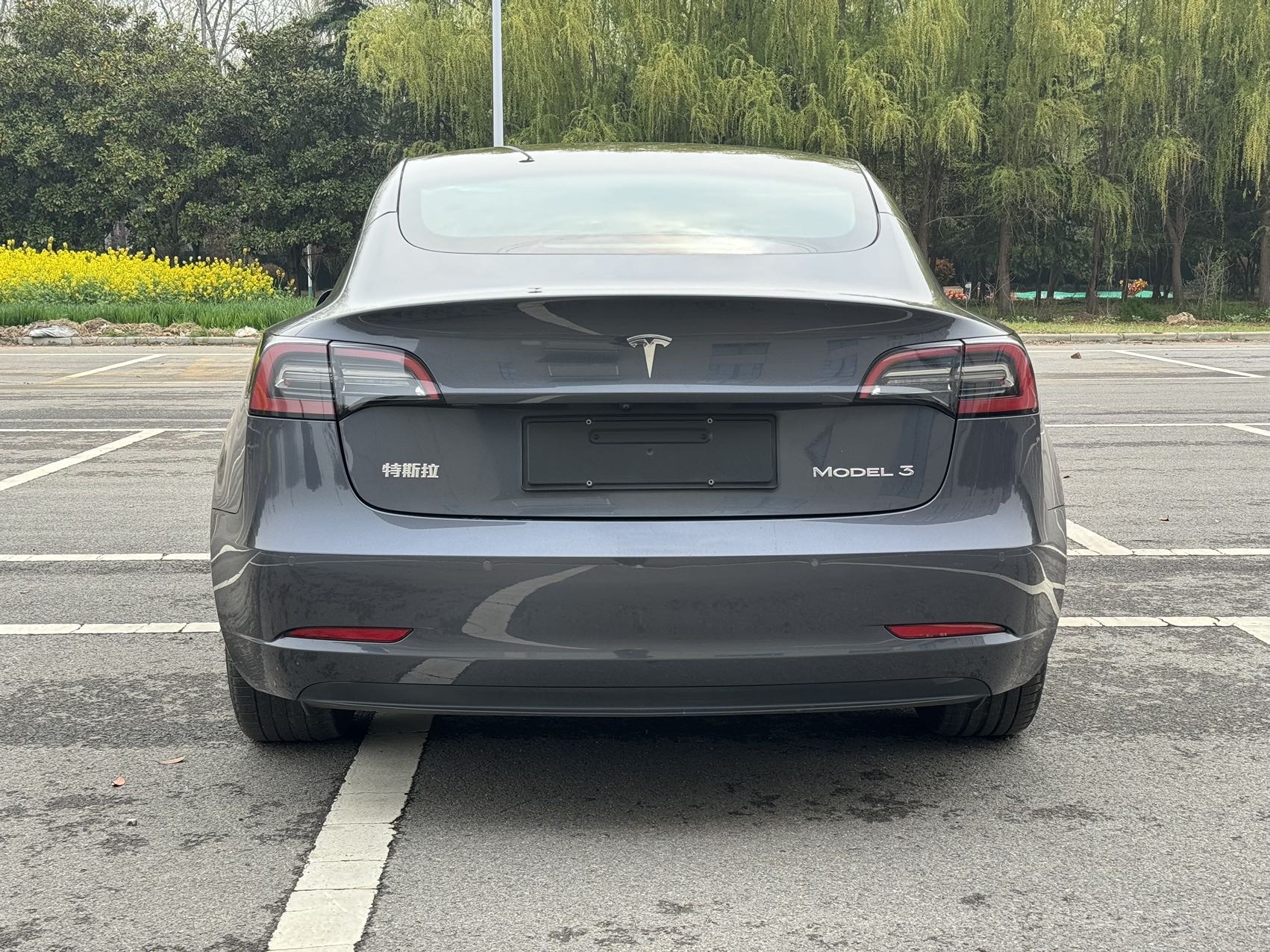 Tesla Model 3 2021 immagine di auto #7