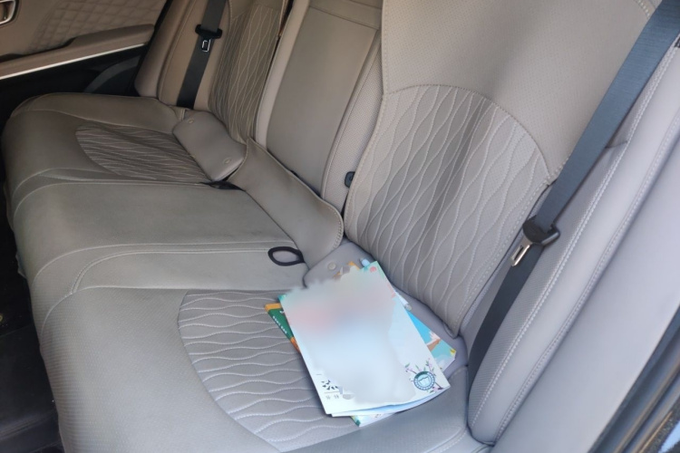 BYD Han 2024 car image #14