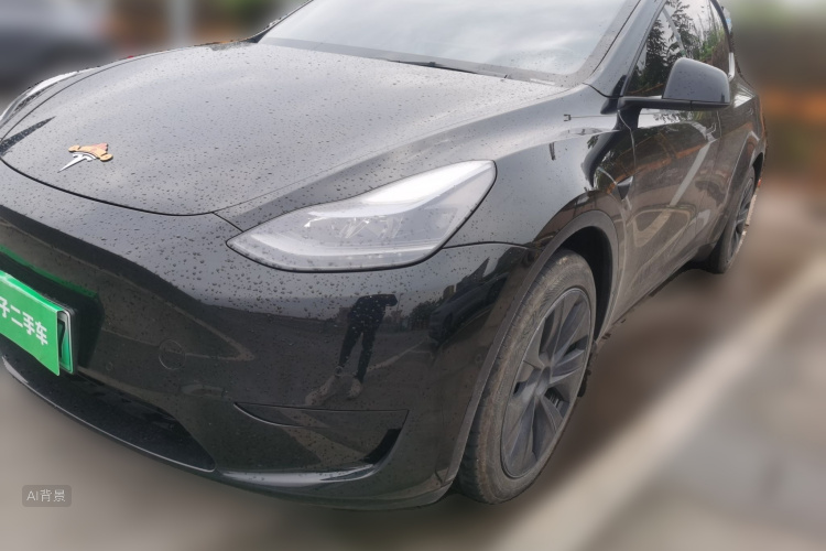 Tesla Model Y 2024 car image #2