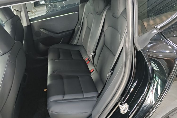 Tesla Model 3 2023 car image #17