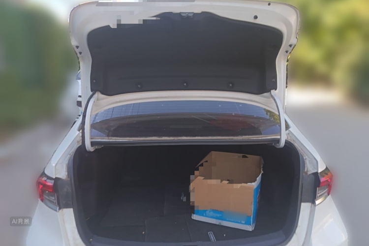Toyota Corolla 2021 car image #21
