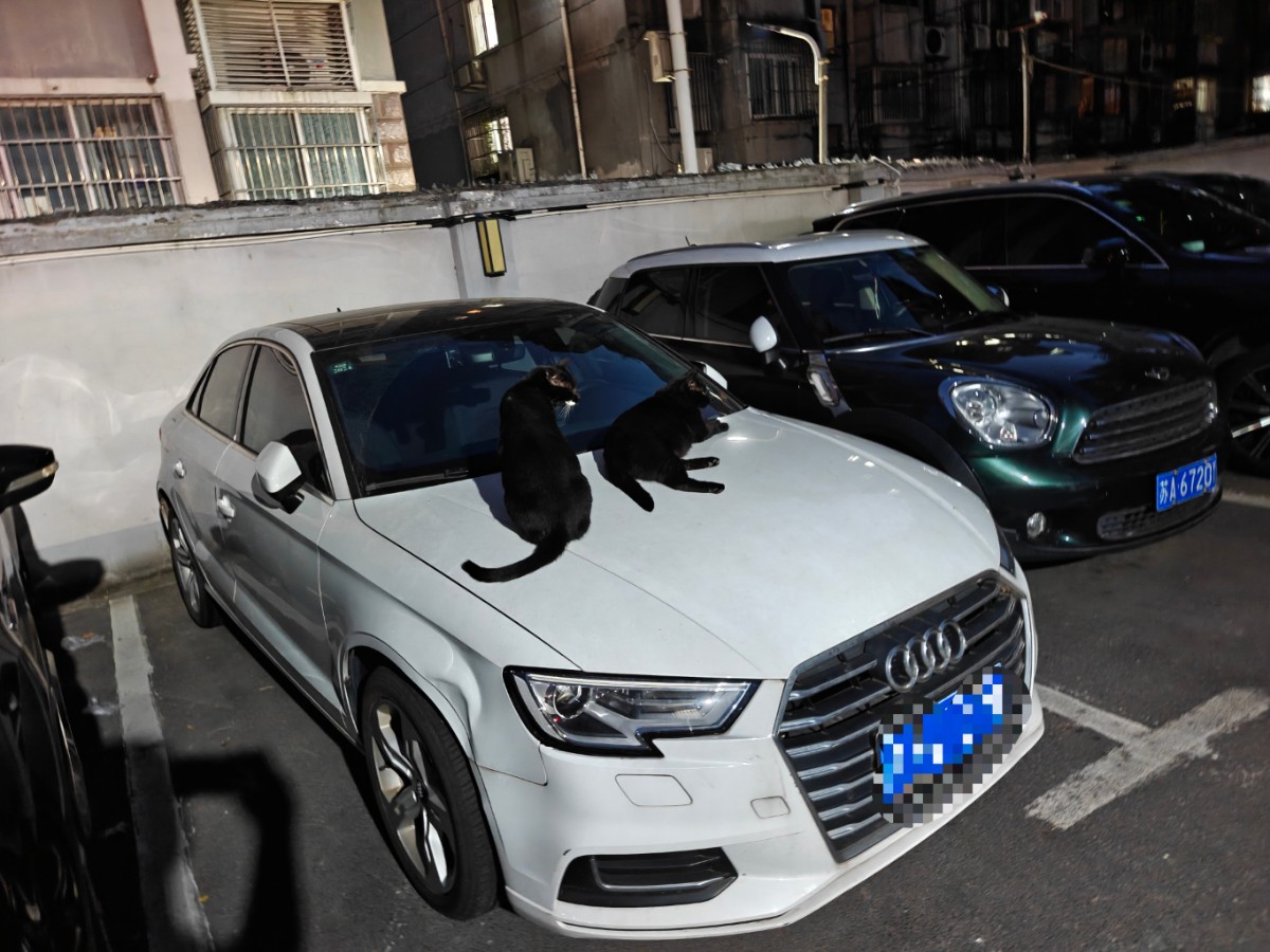 Audi A3 2020 car image #2