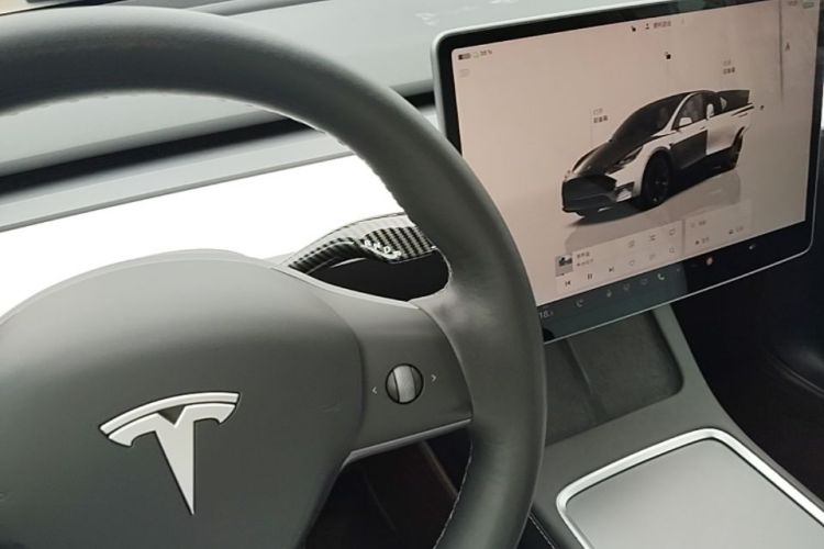 Tesla Model Y 2021 #14 Tesla Model Y 2021 car image #14