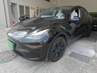 Tesla Model Y 2024 Tesla Model Y 2024 car image