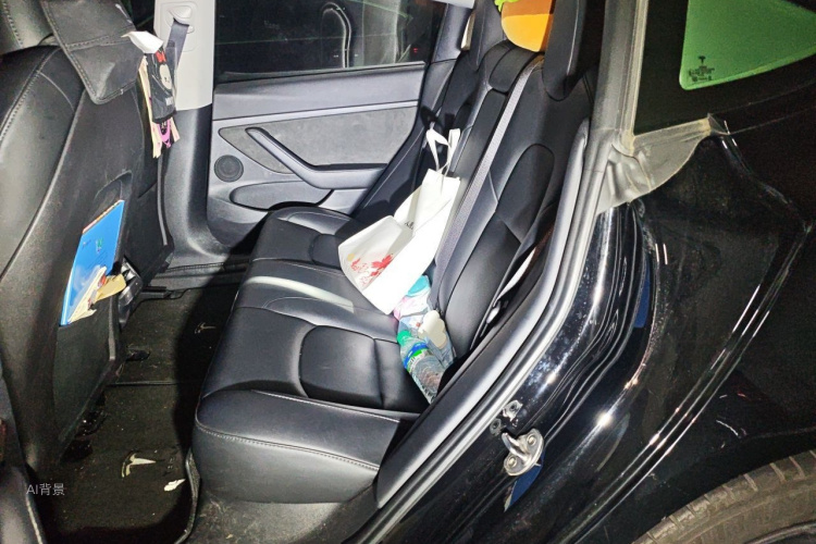 Tesla Model 3 2022 car image #19