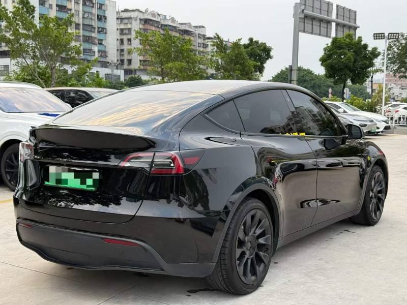 Tesla Model Y 2022 car image #6
