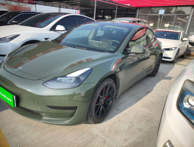 Tesla Model 3 2021 immagine di auto 