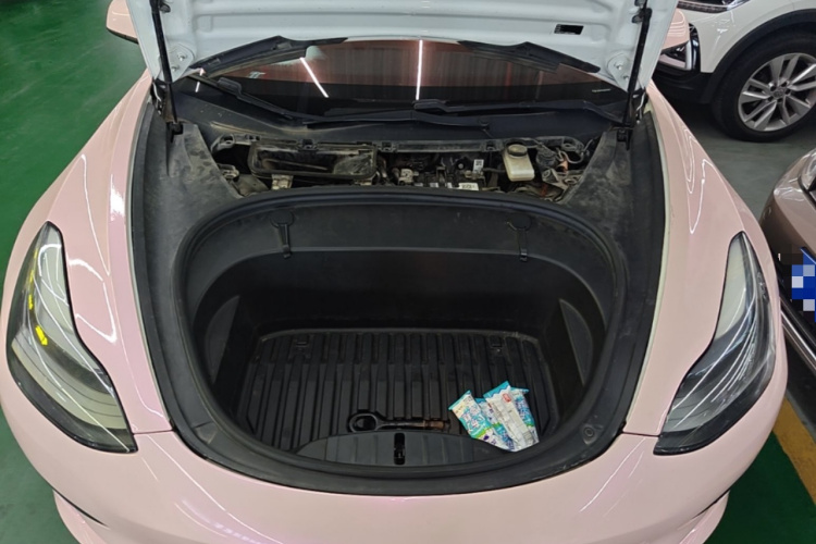 Tesla Model 3 2021 car image #22