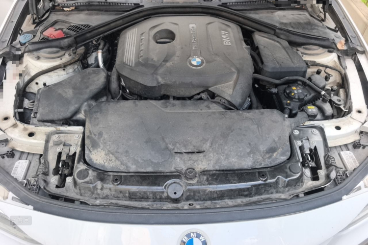 BMW 3 Series 2017 car image #22