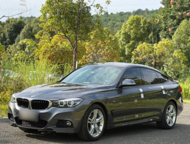 BMW 3 Series GT 2017 BMW 3 Series GT 2017 car image