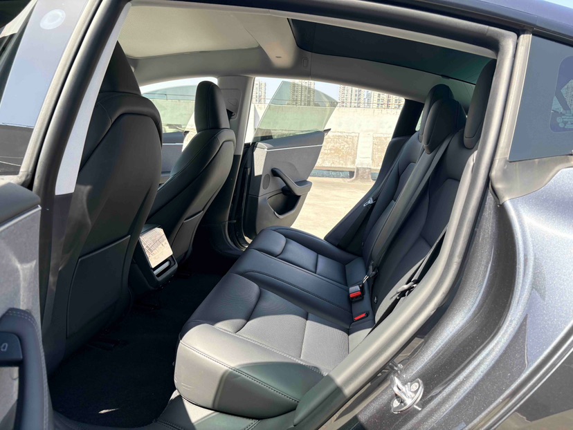 Tesla Model 3 2024 #6 Tesla Model 3 2024 car image #6