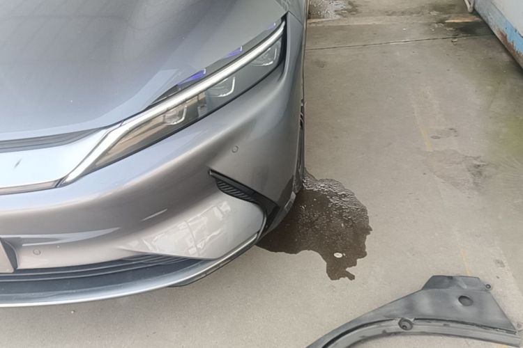 比亚迪 汉 2022 汽车图片 #23