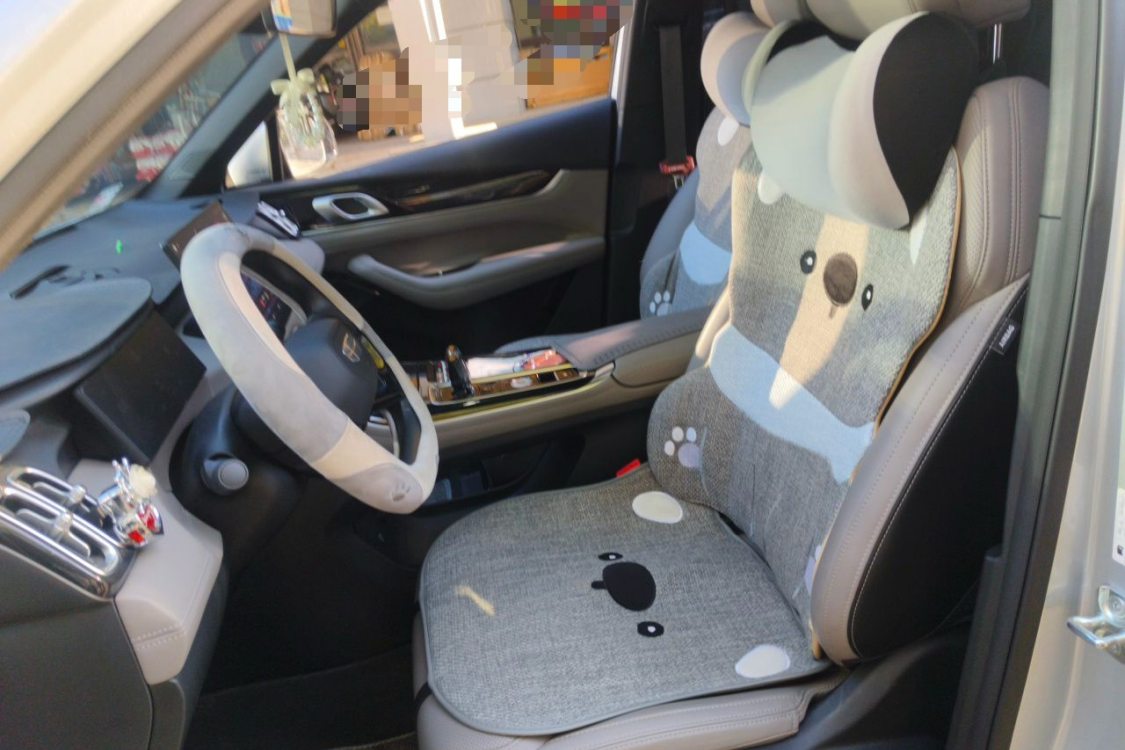 GEELY Boyue L 2025 car image #18