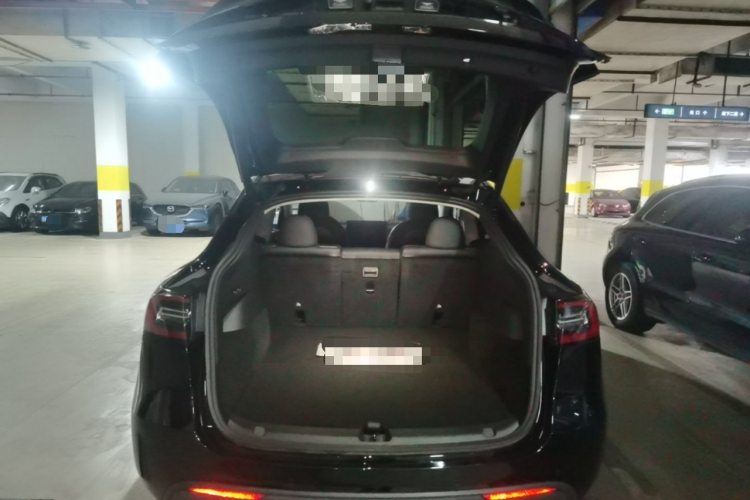 Tesla Model Y 2021 #19 Tesla Model Y 2021 car image #19
