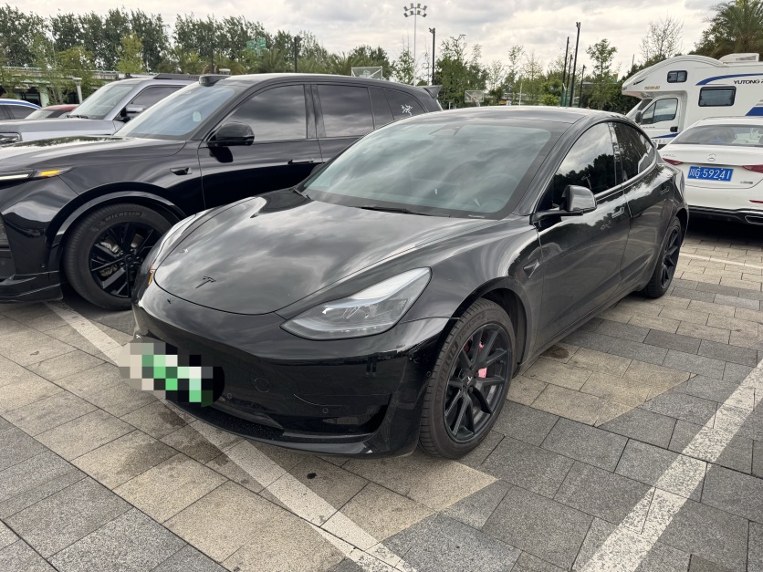 Tesla Model 3 2022 Tesla Model 3 2022 car image