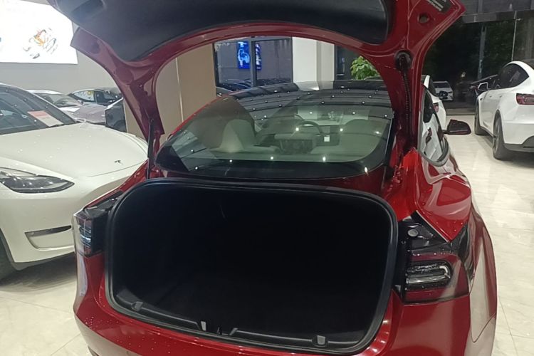 Tesla Model 3 2020 #19 Tesla Model 3 2020 car image #19