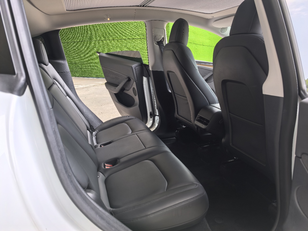 Tesla Model Y 2021 car image #8