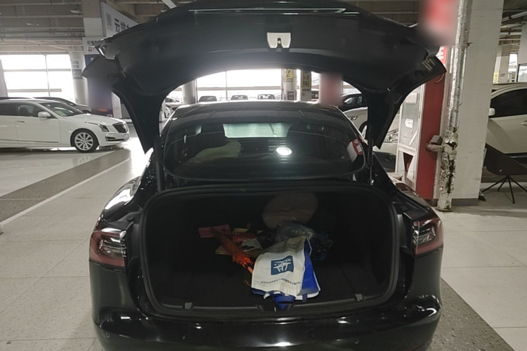 Tesla Model 3 2021 #21 Tesla Model 3 2021 immagine di auto #21