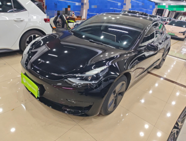 Tesla Model 3 2021 Tesla Model 3 2021 immagine di auto